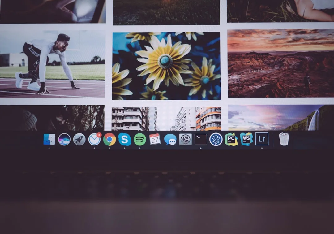 Essential Guide to Choosing the Right Image Format for Web
