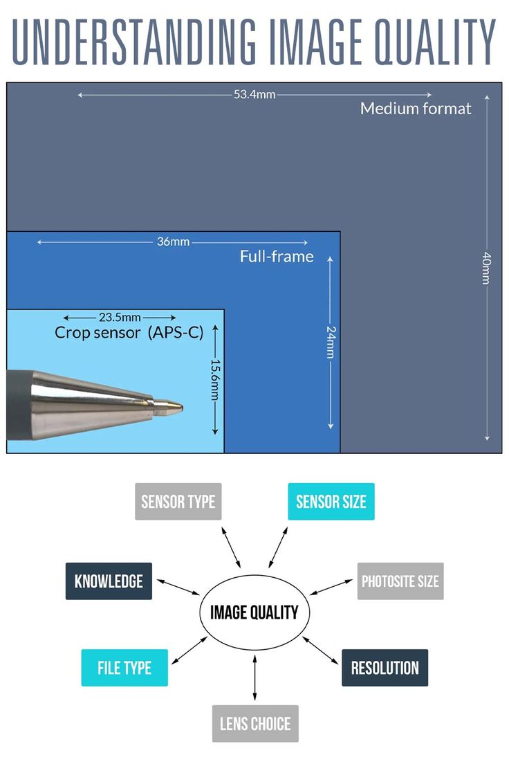 The Ultimate Guide to Choosing the Right Image Format